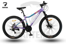 Load image into Gallery viewer, Pantera Rosa Adults Bicycle WS
